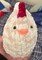 Crochet Chicken Plushie Class